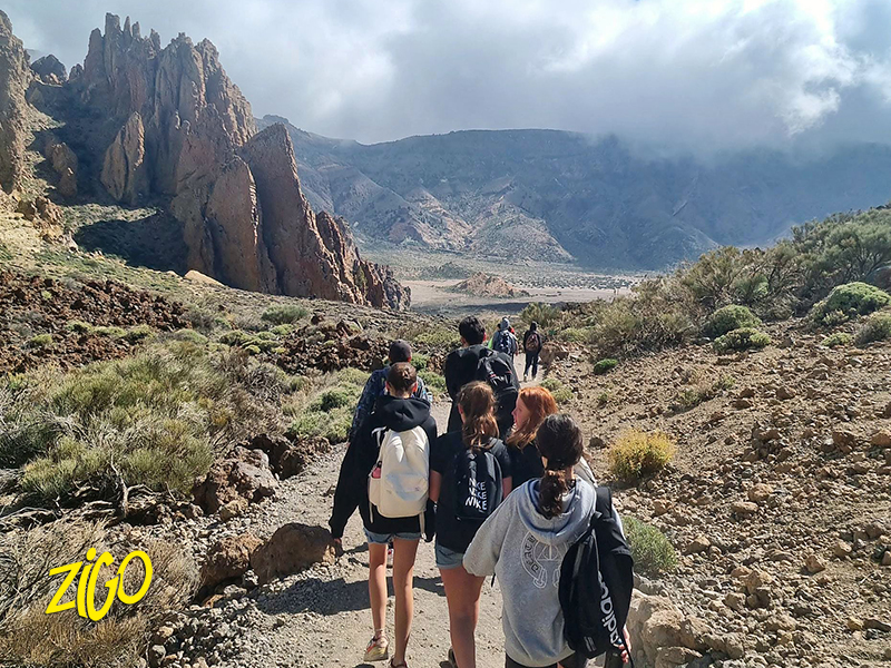 Zigotours Tenerife Camp - Ocean Trip in the Canary Islands general 8