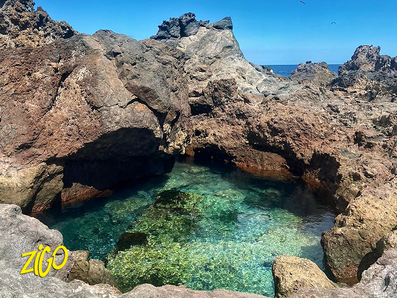 Zigotours Tenerife Camp - Ocean Trip in the Canary Islands general 3