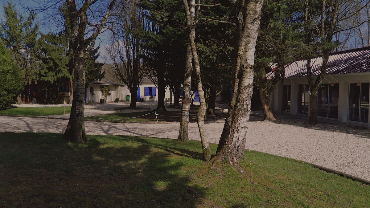 Mature trees and open grass in the grounds of the estate