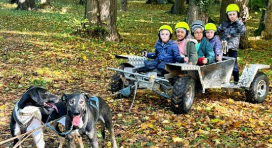 Cani adventure (Autumn)