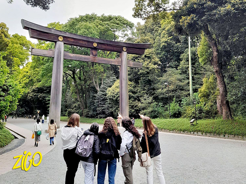 Zigotours Tokyo Autumn City Camp for Teens general 11