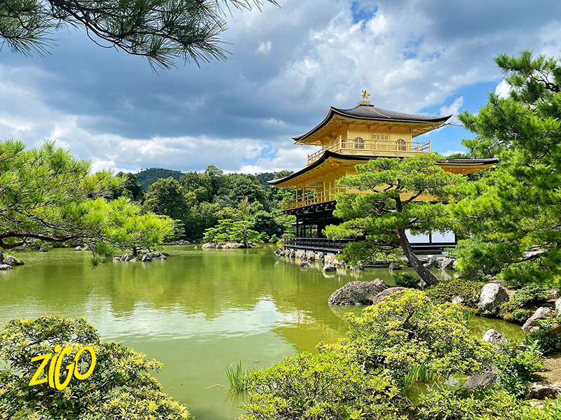 Zigotours Tokyo Autumn City Camp for Teens general 16