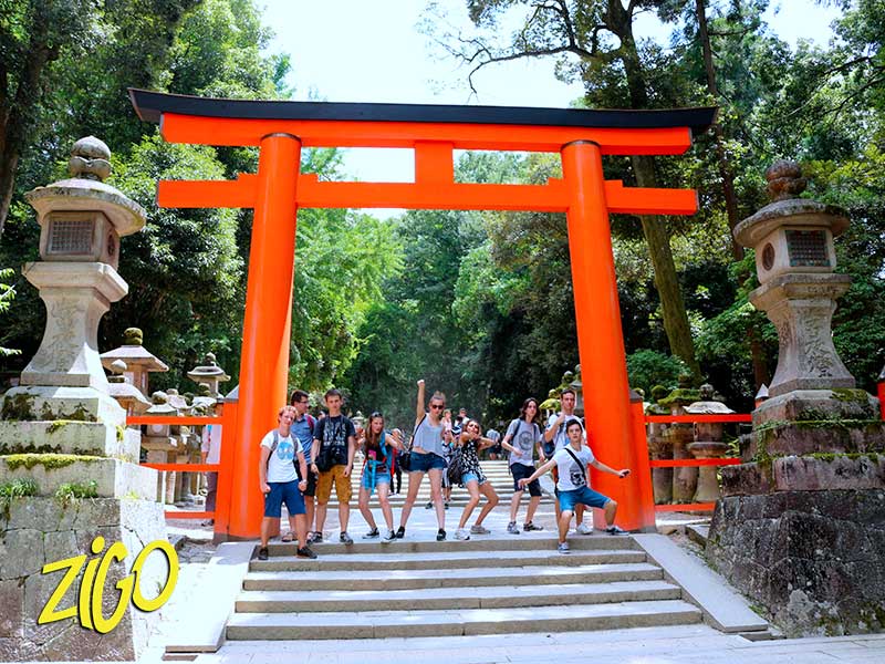 Zigotours Tokyo Autumn City Camp for Teens general 22