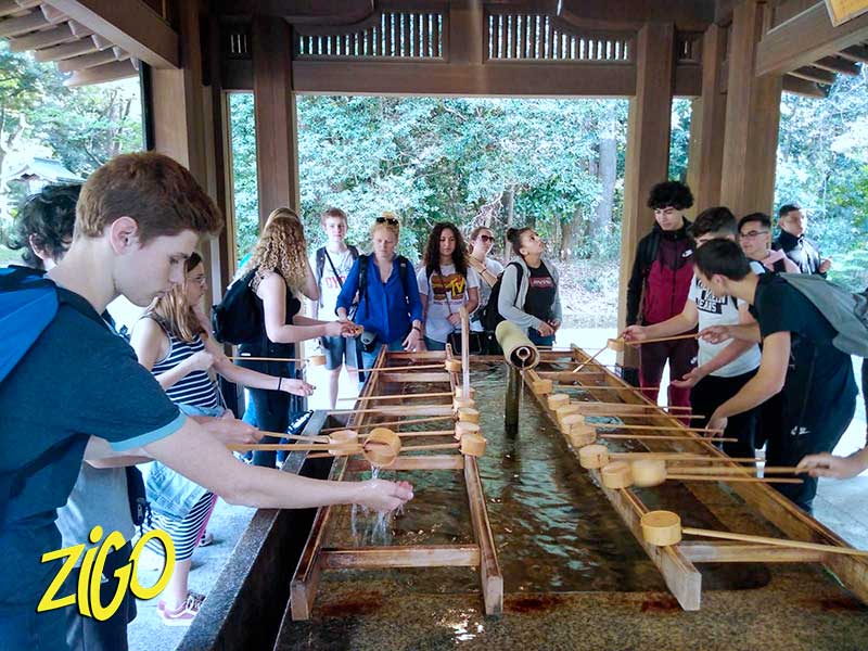 Zigotours Tokyo Autumn City Camp for Teens general 23
