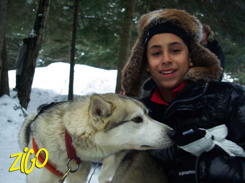 Zigotours Quebec Winter Nature Camp - Lac Morgan and Montreal general 14