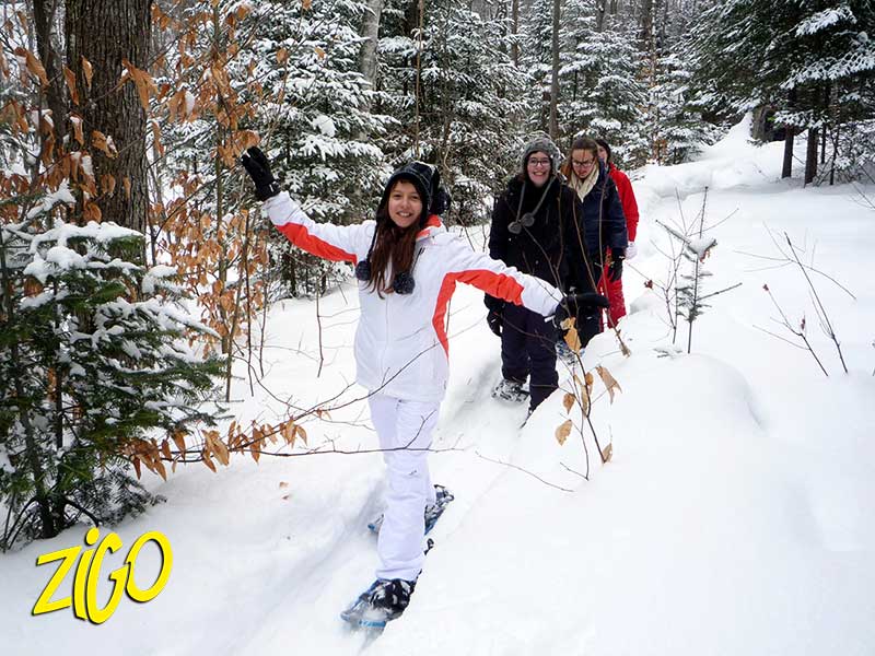 Zigotours Quebec Winter Nature Camp - Lac Morgan and Montreal general 15