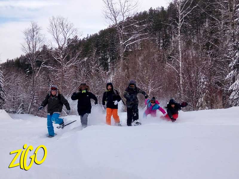 Zigotours Quebec Winter Nature Camp - Lac Morgan and Montreal general 7