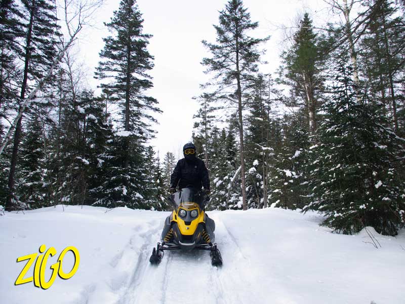 Zigotours Quebec Winter Nature Camp - Lac Morgan and Montreal general 19