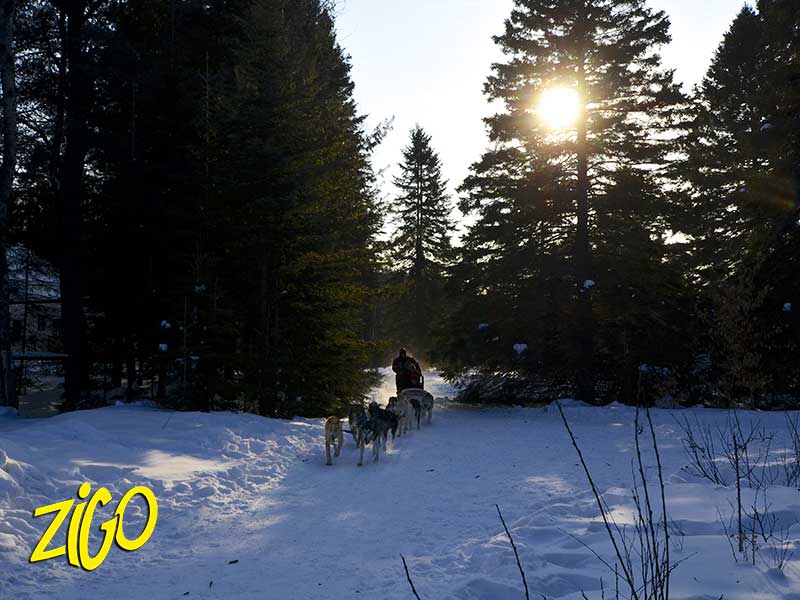Zigotours Quebec Winter Nature Camp - Lac Morgan and Montreal general 24