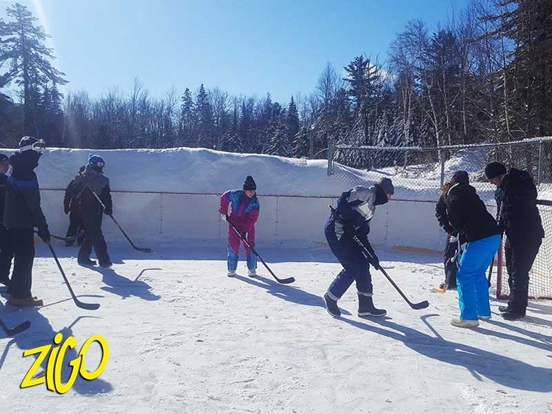 Zigotours Quebec Winter Nature Camp - Lac Morgan and Montreal general 13