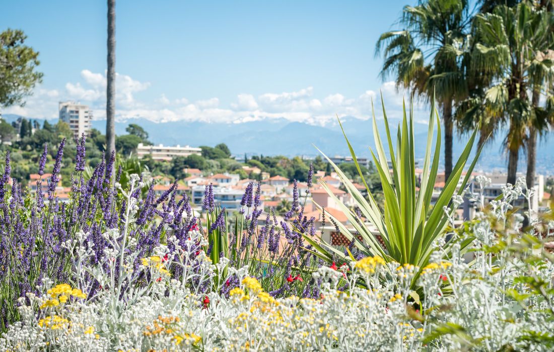 French Summer Camp in Juan-les-Pins general 11