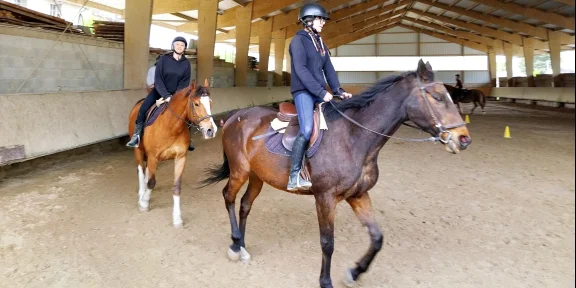 Two riders in helmets and jackets riding bay horses in the covered arena