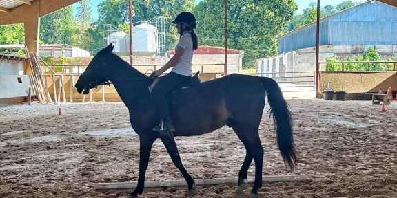 Rider walking a black horse in the outdoor sand arena beside the farm buildings