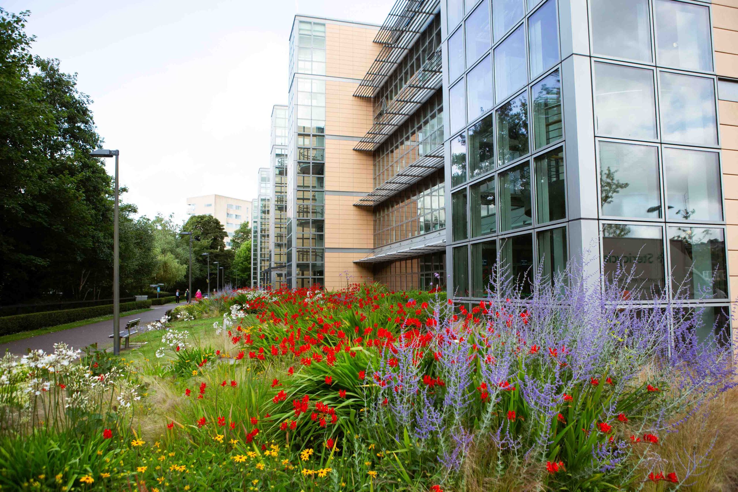 Homestay and Residential Junior – University College Cork general 10