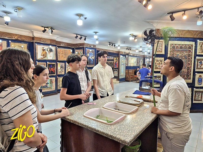 Zigotours Egypt Pharaohs Camp - Cairo, Aswan and Luxor general 16