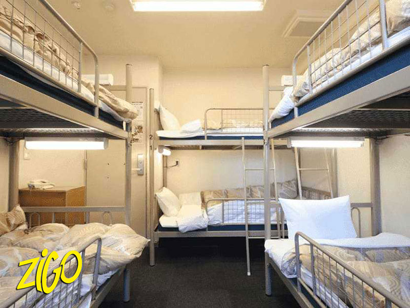 Zigotours Tokyo Winter and Spring City Camp for Teens general 10