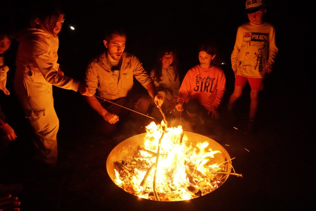 Evening campfire and night under canvas
