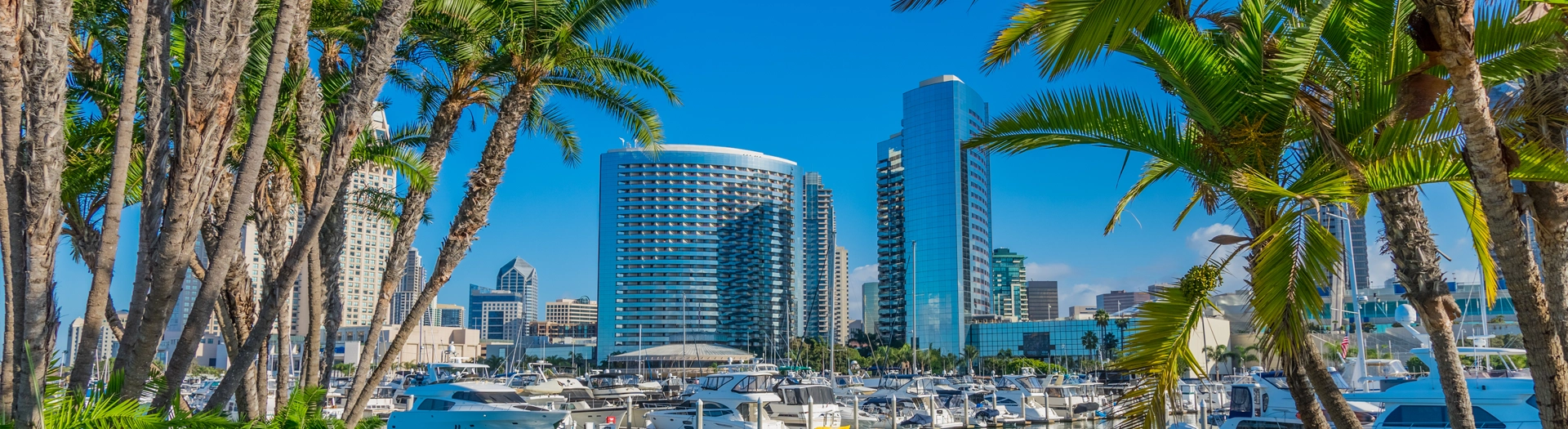 English Summer and Winter School San Diego