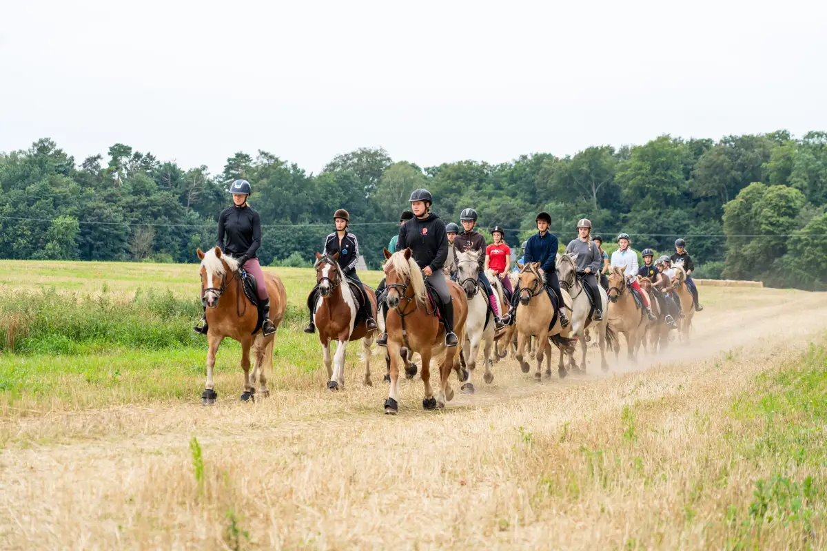 A line of riders on horses and ponies out on a cross-country hack along a field track