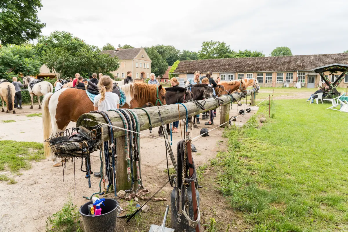 Saddled horses and ponies tied along a wooden rail in the paddock, with the farm buildings behind