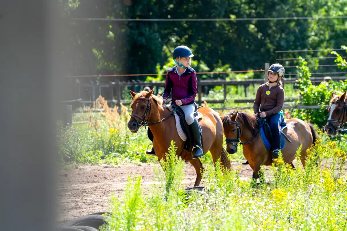 A riding lesson in the outdoor arena, with several riders on ponies following each other along the fence