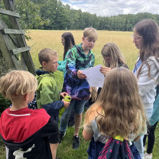 Outdoor programme in the Dübener Heide woodland