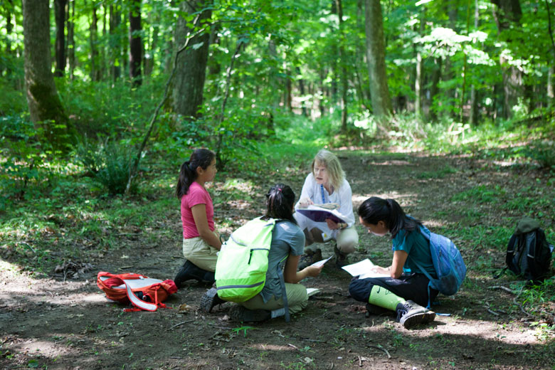 Students crouching in woodland with notebooks and sample kits during an environmental science session