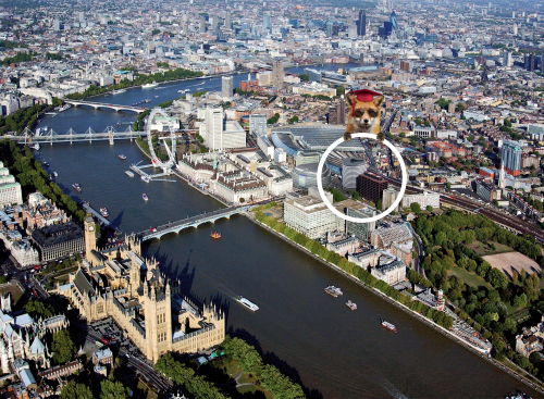Academic Summer Experience London Day — DLD College, Westminster