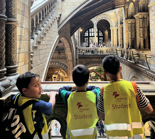 Photograph published by Academic Summer on its Experience London programme page