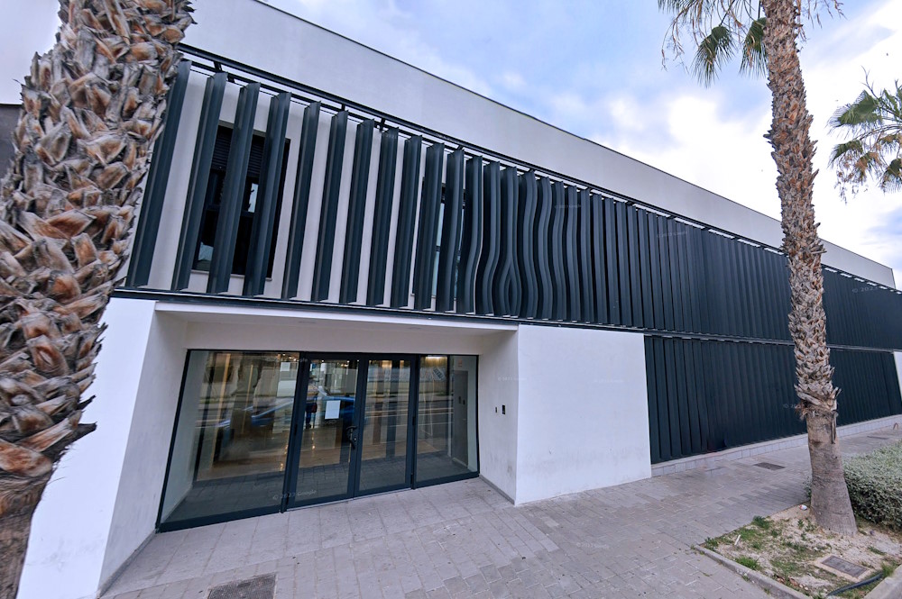 Alicante Summer Camp