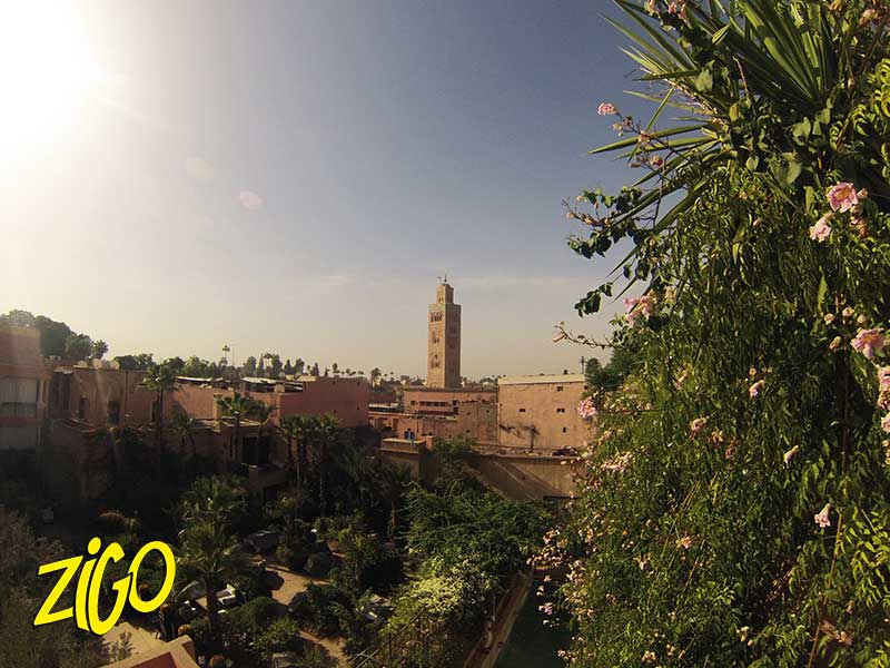 Zigotours Morocco Camp - Marrakech, Ouarzazate and Essaouira general 5