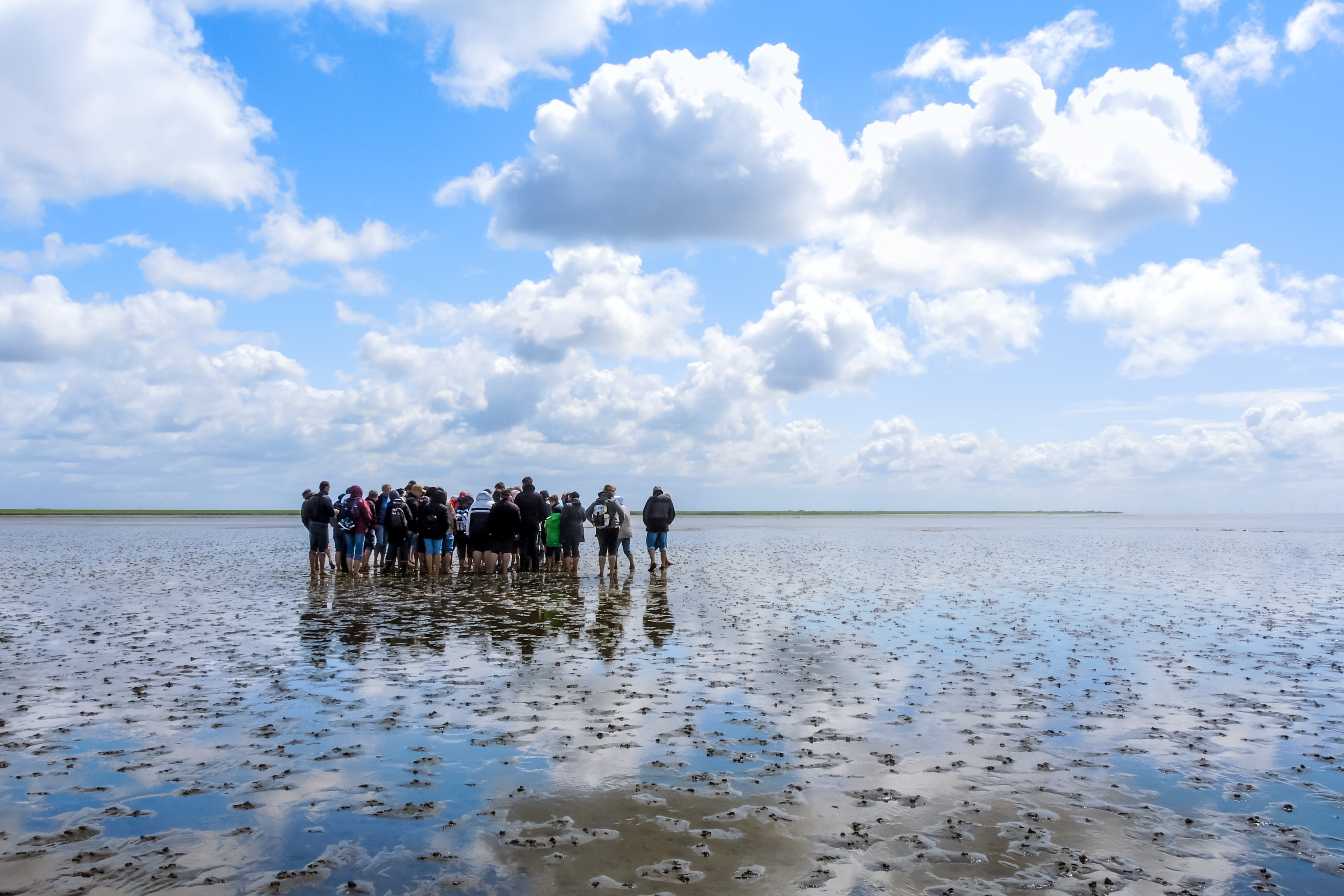 Camp guests walking on the Wadden Sea mudflats near Wangerland