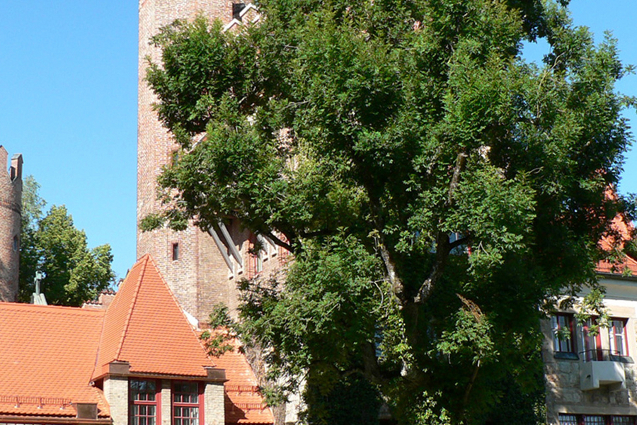 The castle that houses the GLS Munich Castle summer camp