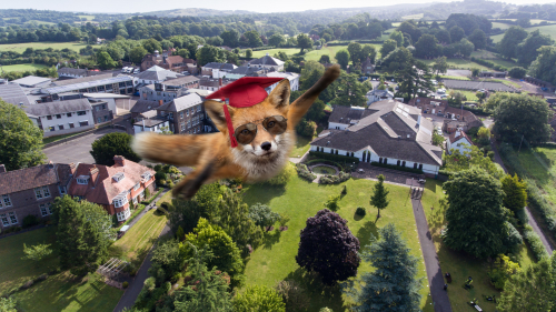 Photograph published by Academic Summer on its Westcountry Adventure (Bristol) programme page