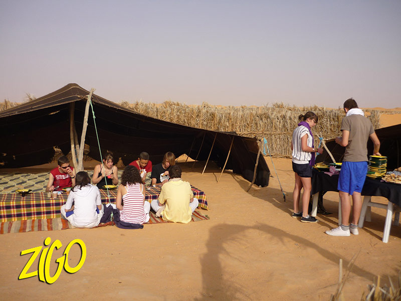 Zigotours Tunisia Camp: Djerba and the Dahar