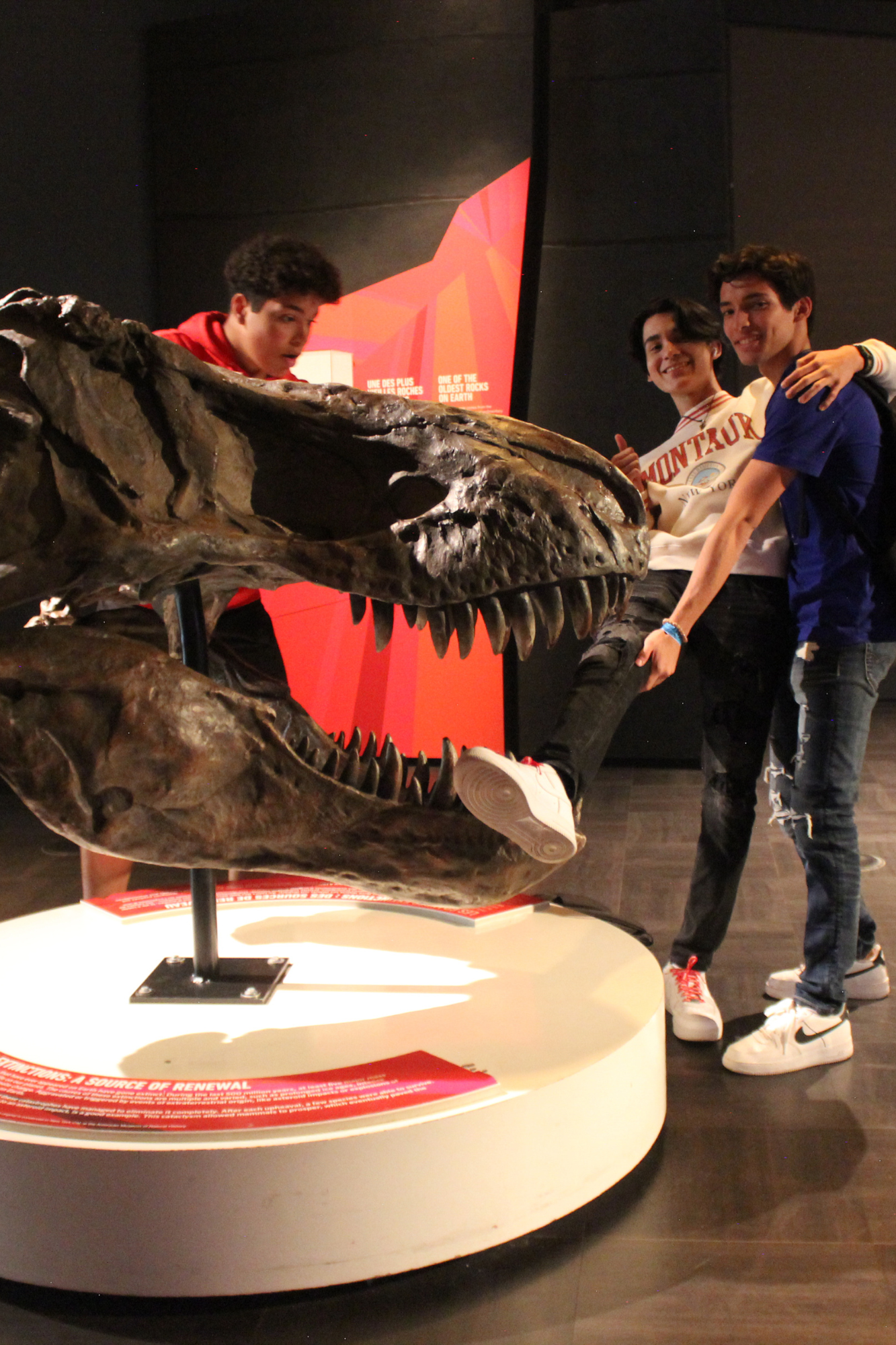 Language Summer Camp for Juniors and Teens in Montreal general 12