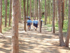 Blue Lake Fine Arts Camp