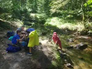Children playing in the Biela stream in the forested Bielatal valley