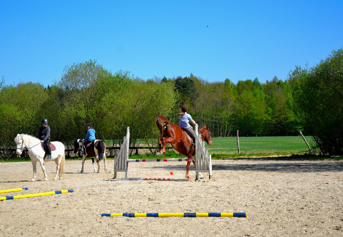 Chevillon Pony and Horse Camp for Ages 7-10: At a Trot