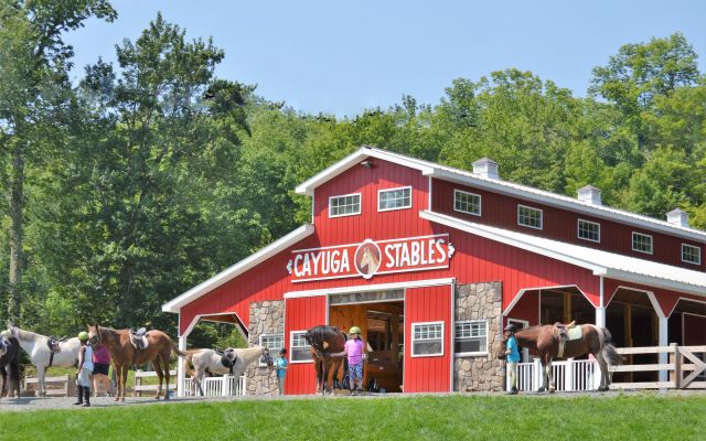 Camp Cayuga activities 4