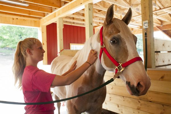 Camp Cayuga activities 20