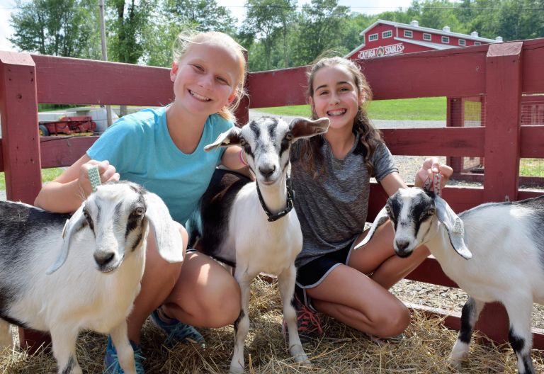 Camp Cayuga activities 23