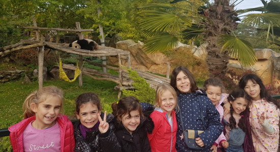 Children standing in a row in front of the panda enclosure at the ZooParc de Beauval
