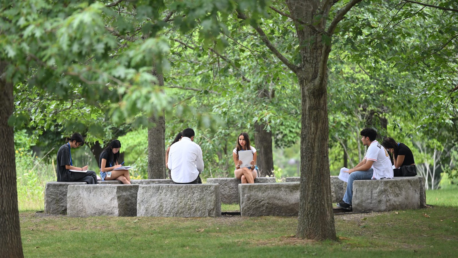 Two students sit on a low stone wall under mature trees with papers in hand while a third works further along the wall.