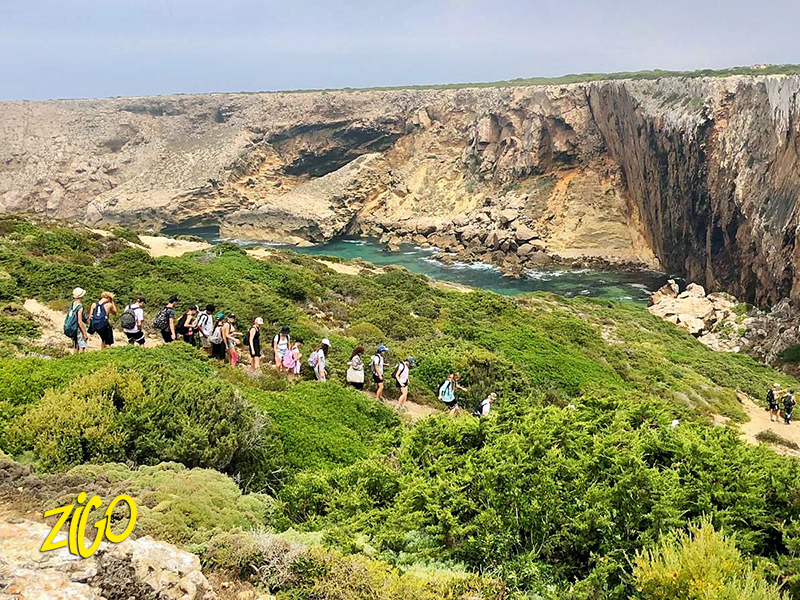 Line of young people walking a path through low green scrub above a rocky coastal inlet