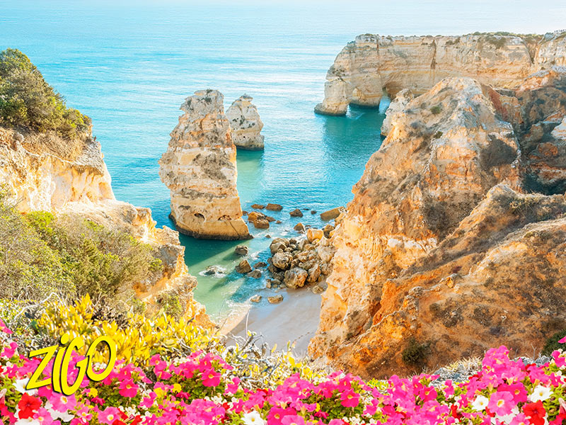 Eroded cliffs and rock arches above turquoise water, flowering shrubs in the foreground