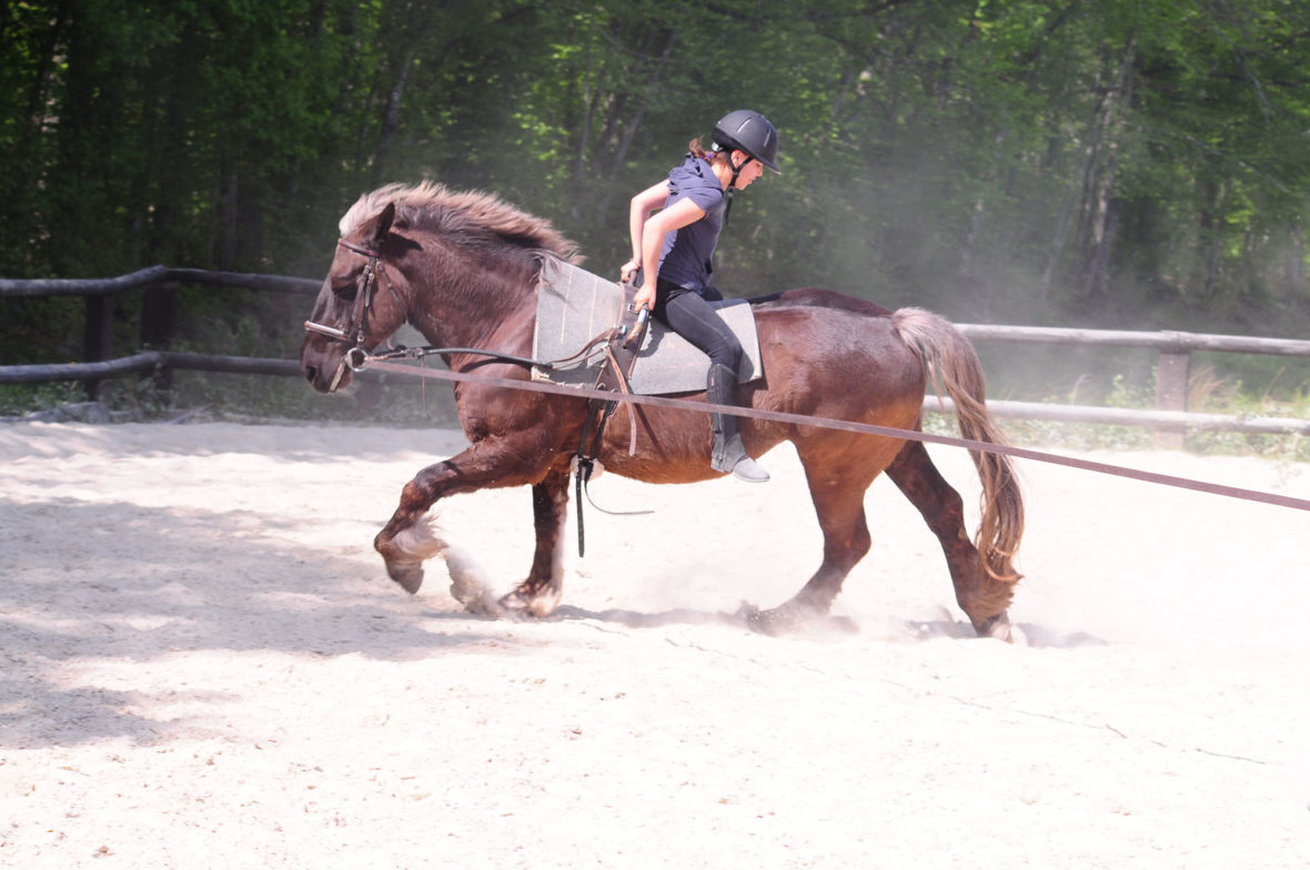 A rider on a cantering horse working on the lunge in a sand arena