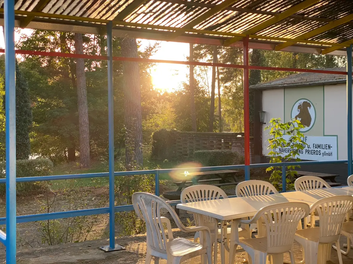 A covered outdoor seating area with tables and chairs under a pergola, sunlight coming through the trees