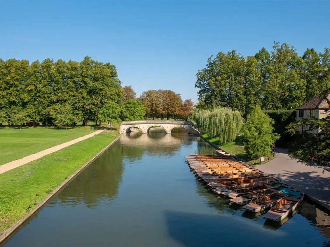 Punts moored on the River Cam beside open lawns and a stone bridge in Cambridge
