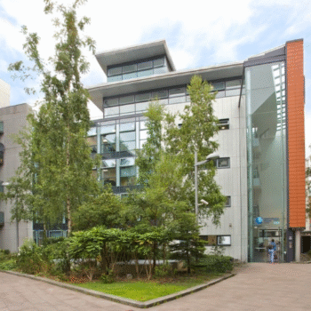 Young Adult Programme – IH Dublin general 2